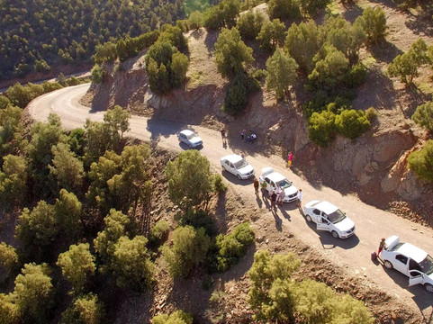 Medloc Maroc-马拉喀什必去景点