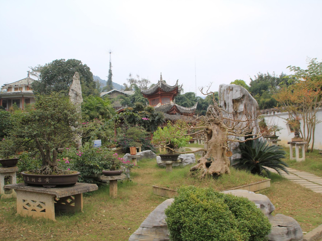 黄果树盆景园-镇宁布依族苗族自治县必去景点