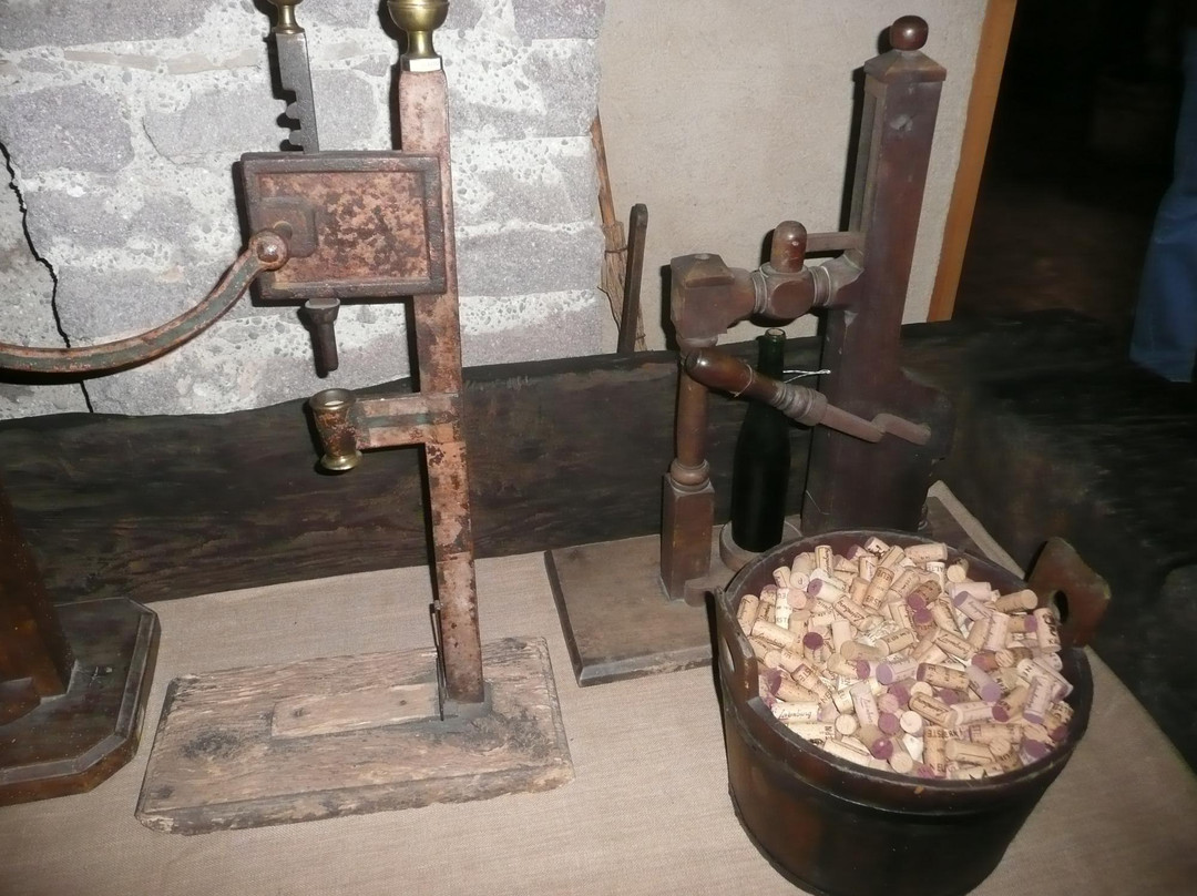 Sudtiroler Weinmuseum景点图片