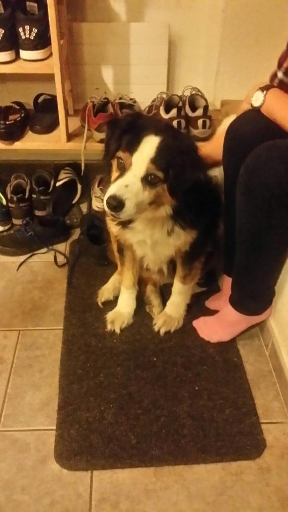 B&B Haus Stiffler-客卧