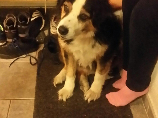 B&B Haus Stiffler主图