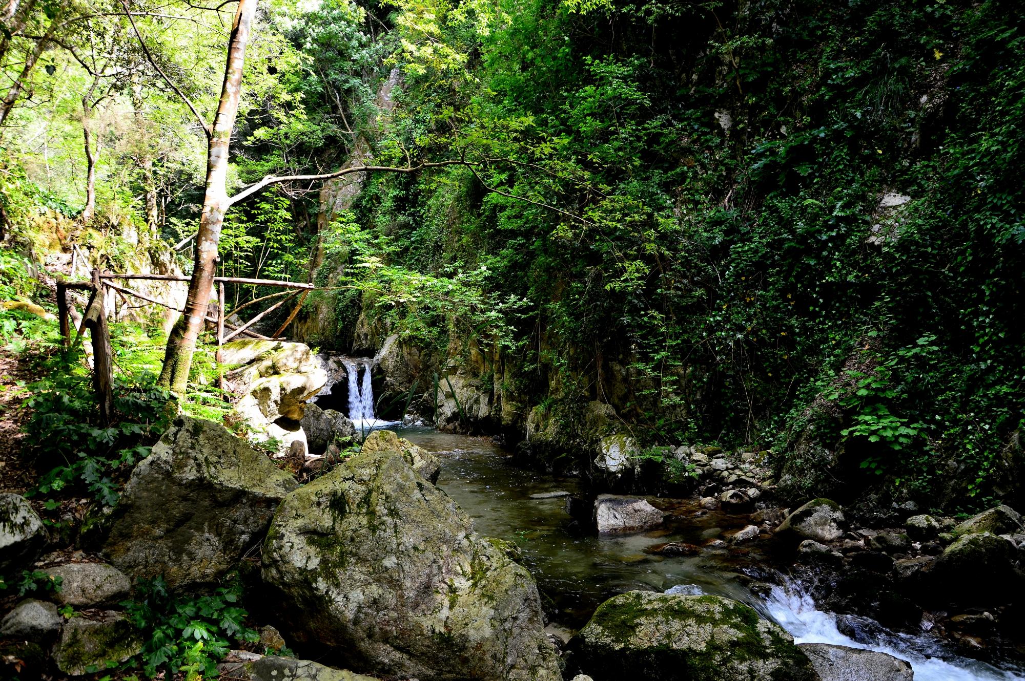 Hotel Galatro Terme-官方