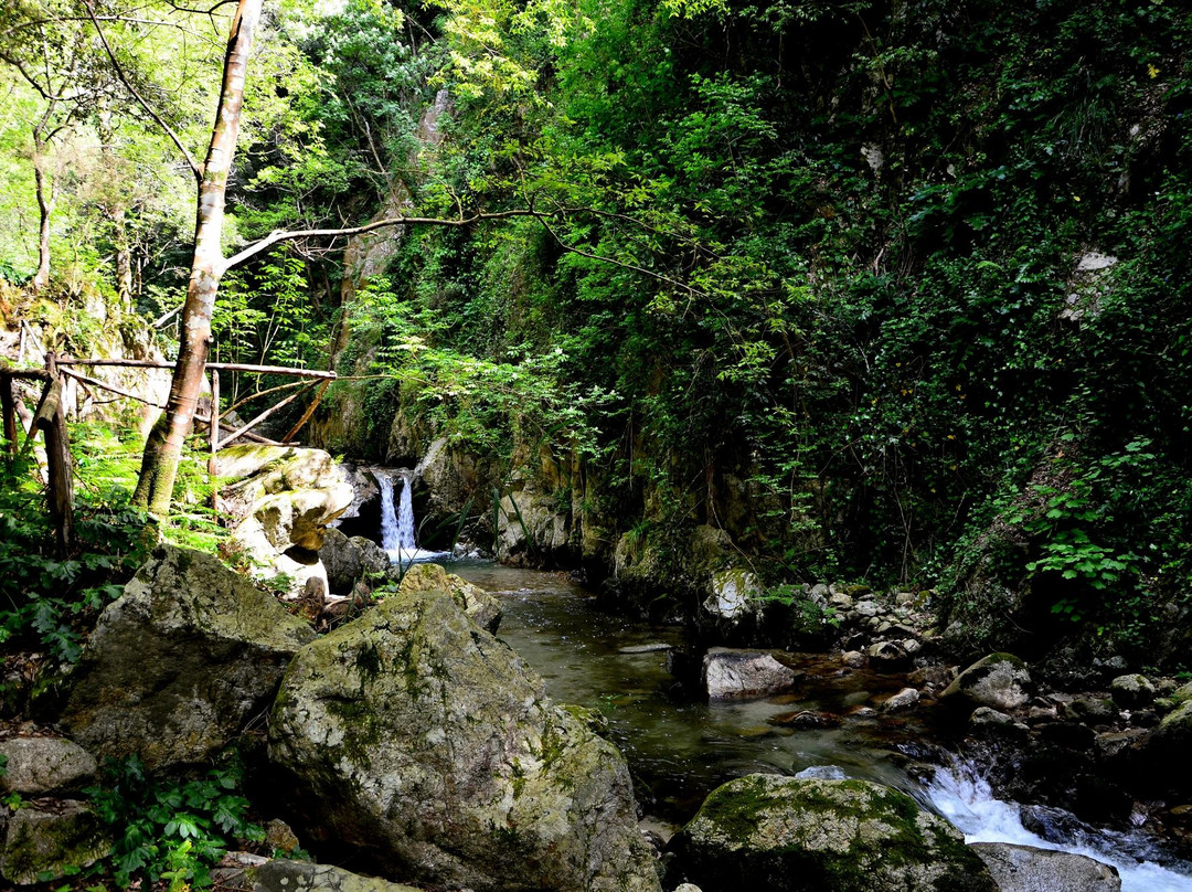 Hotel Galatro Terme主图