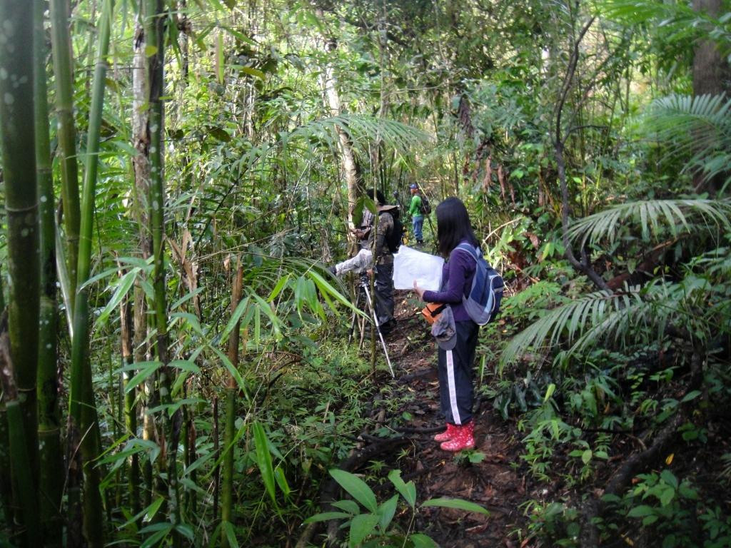 Siburan Rain Forest景点图片