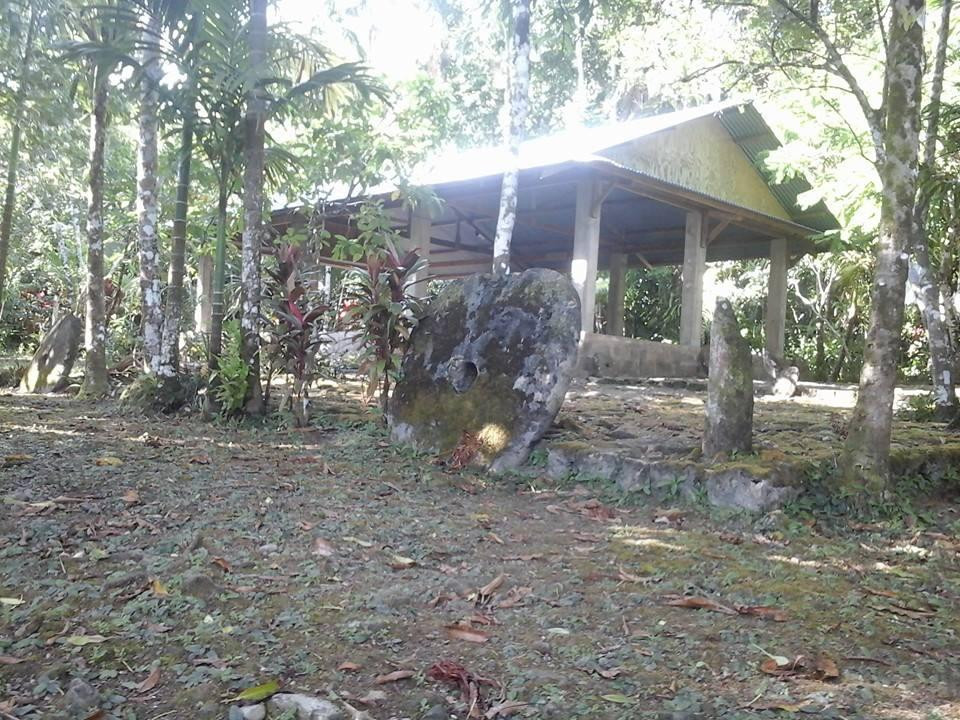 Tamilyog Trail景点图片