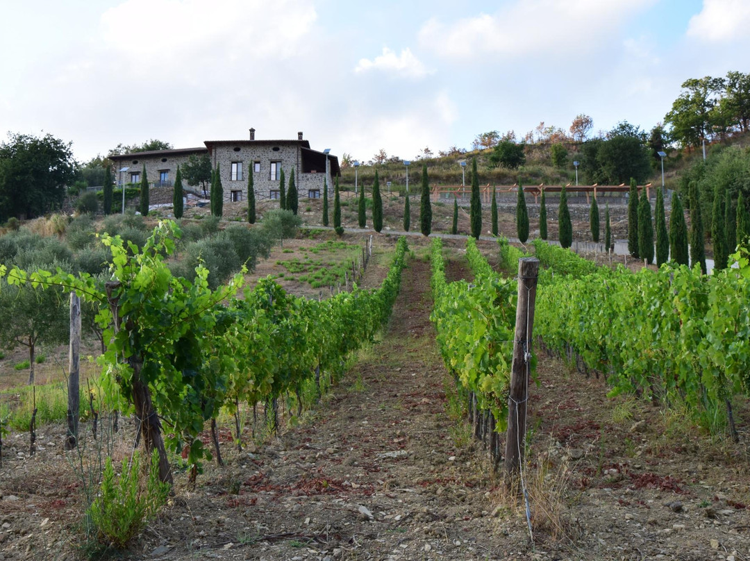 Feudi Enchestre B&B