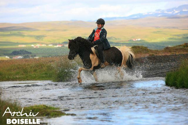 Hestheimar Riding Tours-海拉必去景点