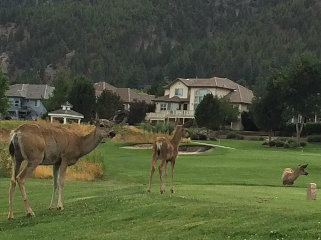 Genoa Lakes Golf Club-Genoa必去景点