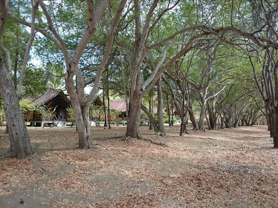 Gili Nanggu-Desa Sekotong Barat必去景点