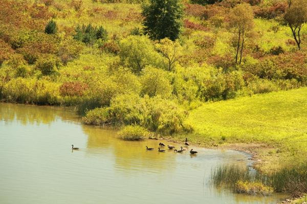 Woodcock Lake Park景点图片