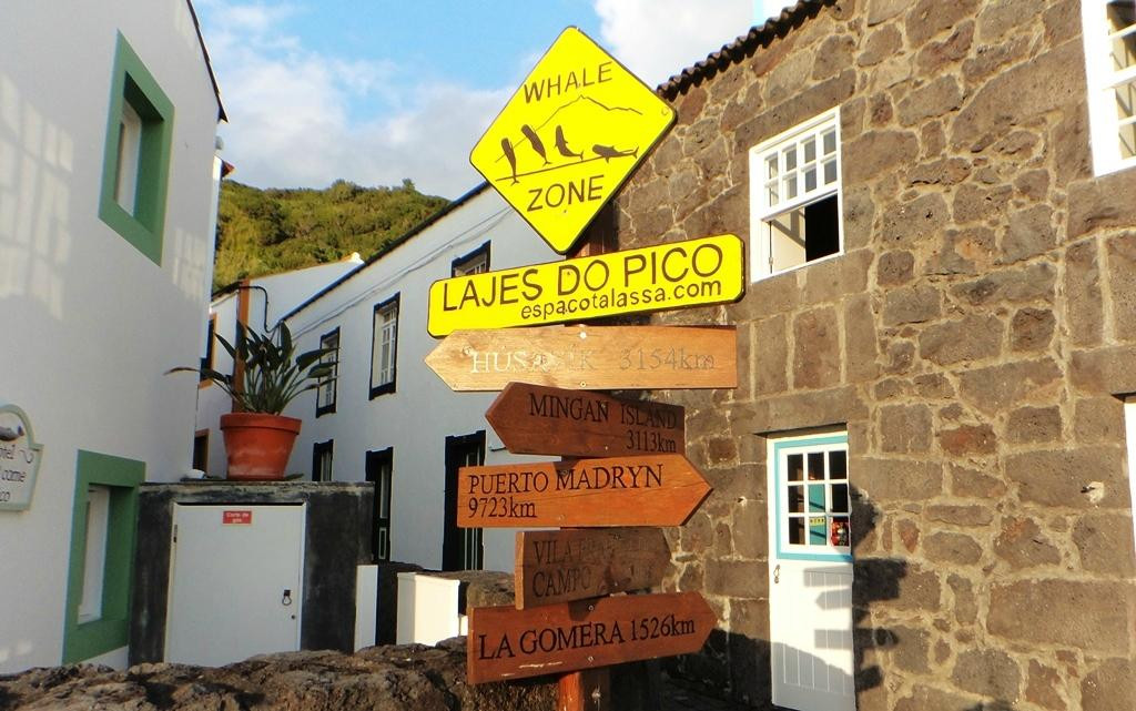 Aqua Açores-Lajes do Pico必去景点