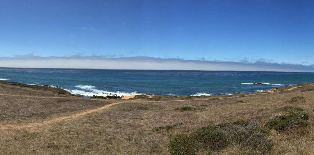 Harmony Headlands State Park景点图片