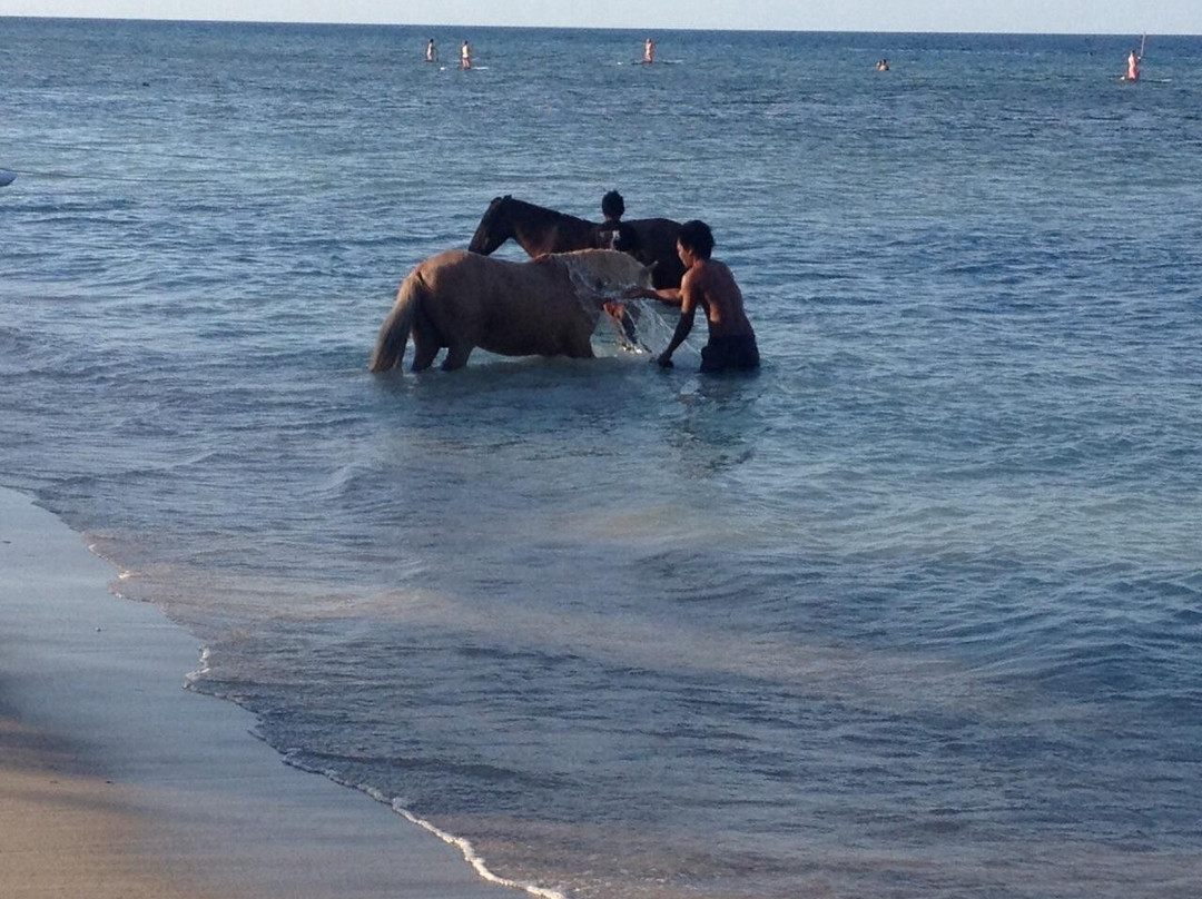 吉利群岛-龙目岛必去景点