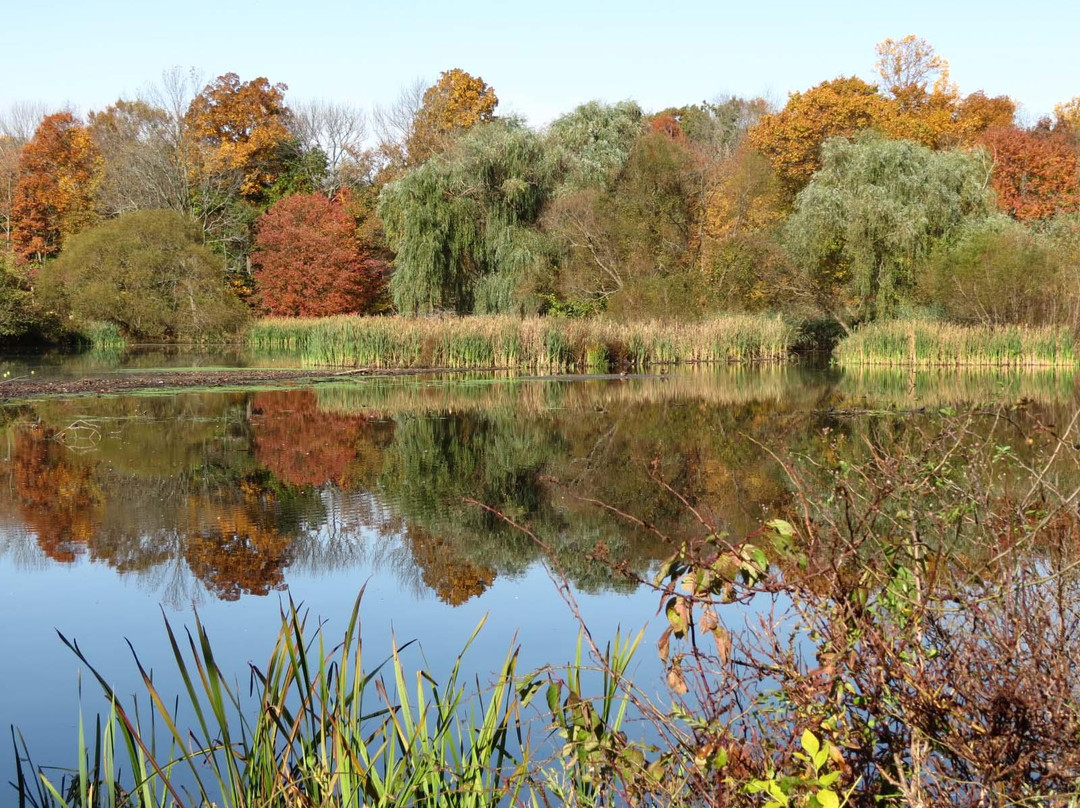 Loantaka Brook Reservation景点图片