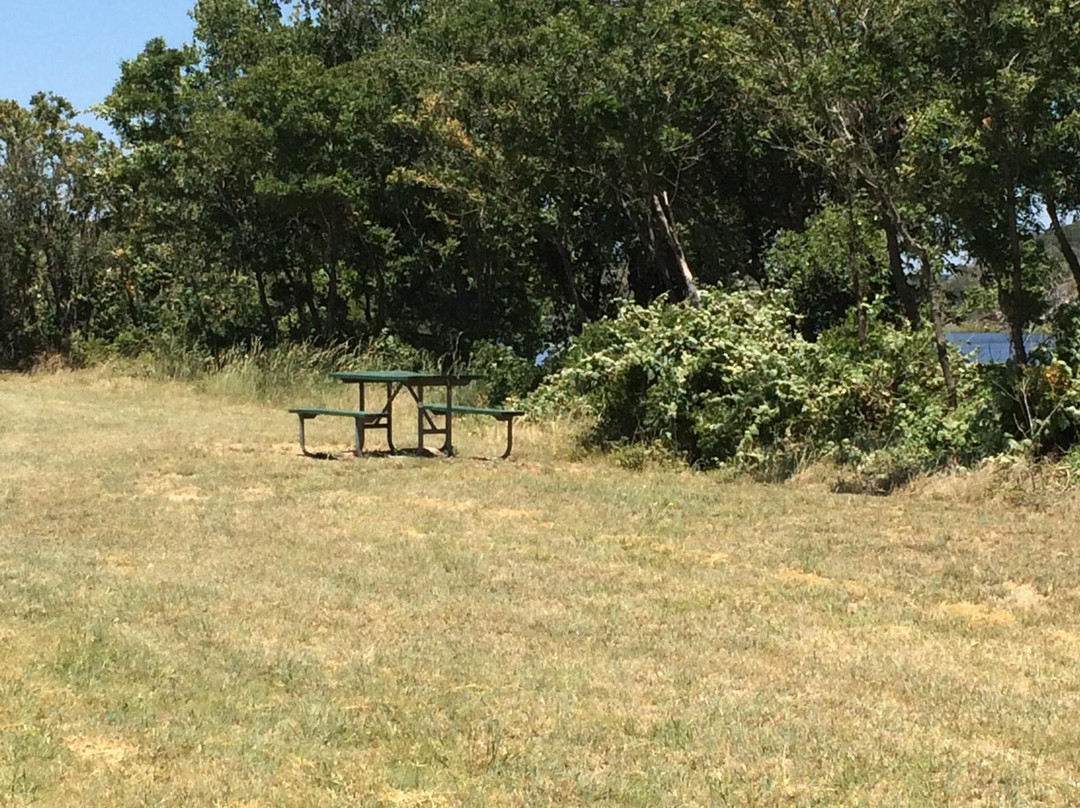 Narrows Recreation Area-Spicewood必去景点