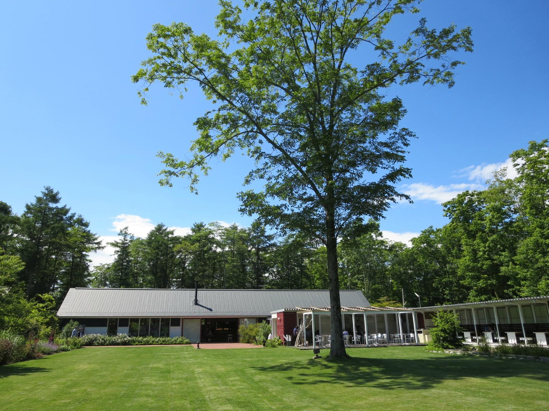 Ikoro no Mori-苫小牧市必去景点