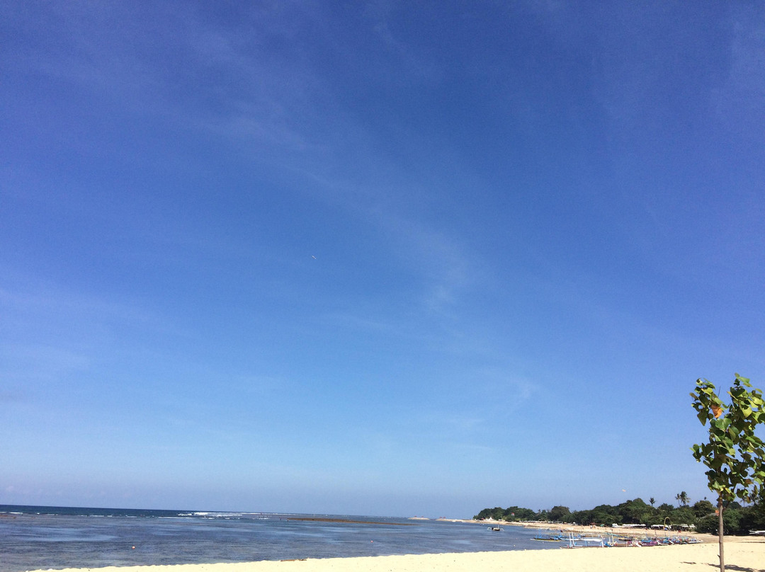 远帆旅行社宾馆主图