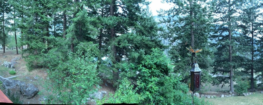 Heritage Pines Inn B&B主图