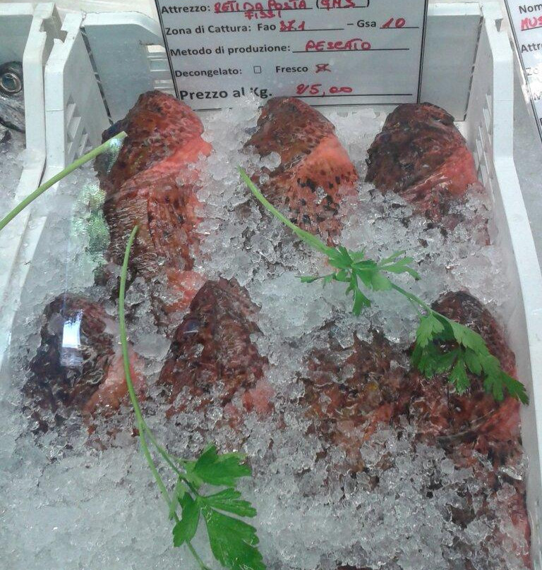 Pescheria il Granchio Intrigante景点图片