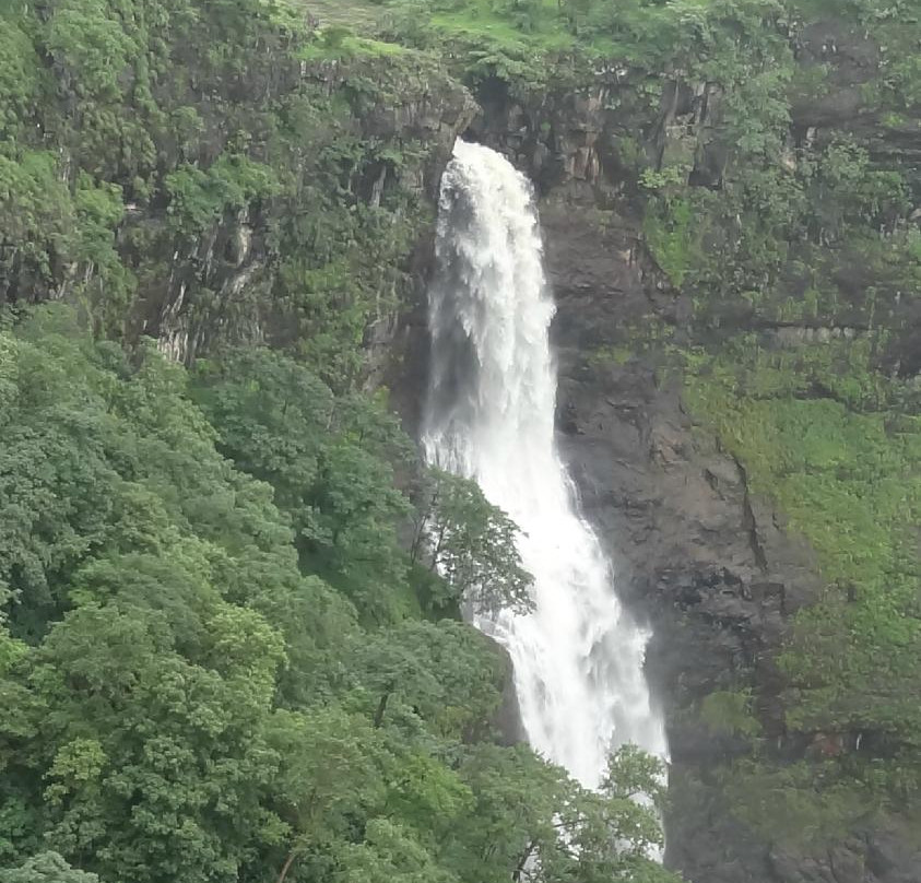 Dugarwadi Waterfall景点图片