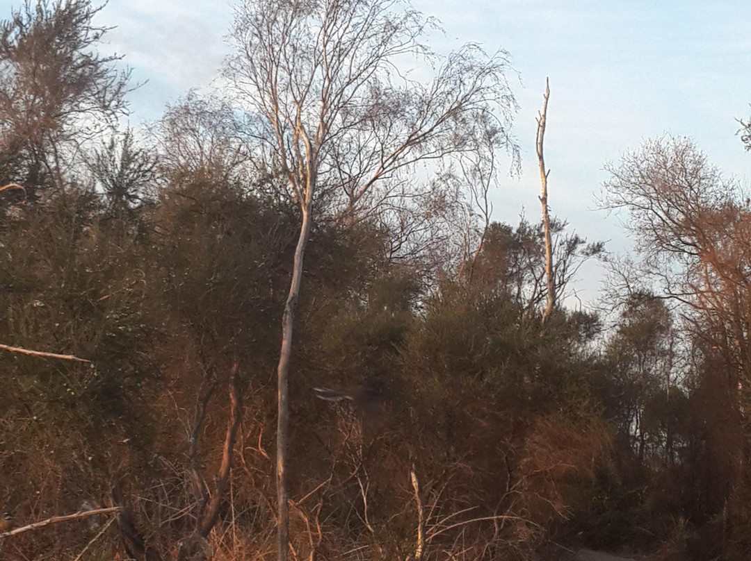 Sulphur Point-罗托鲁瓦必去景点