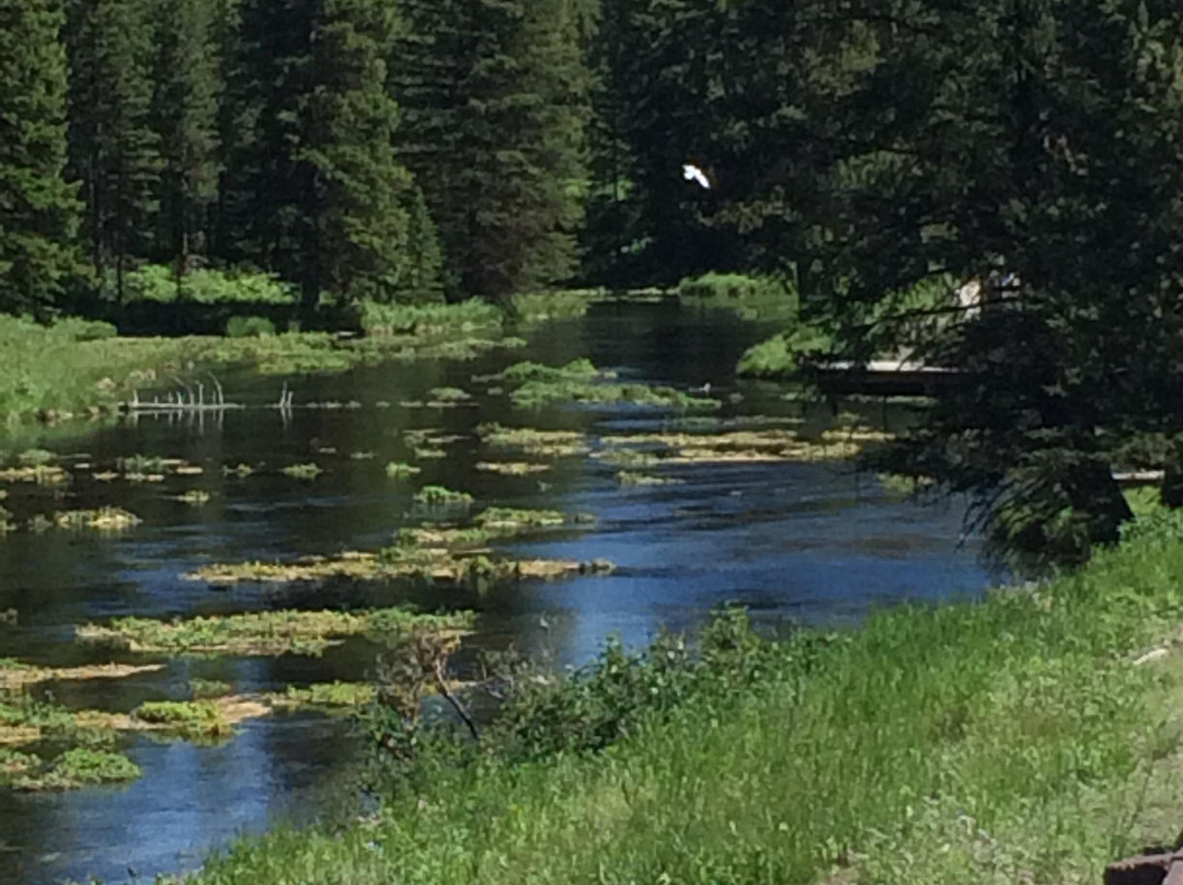 Johnny Sack Cabin-艾兰帕克必去景点