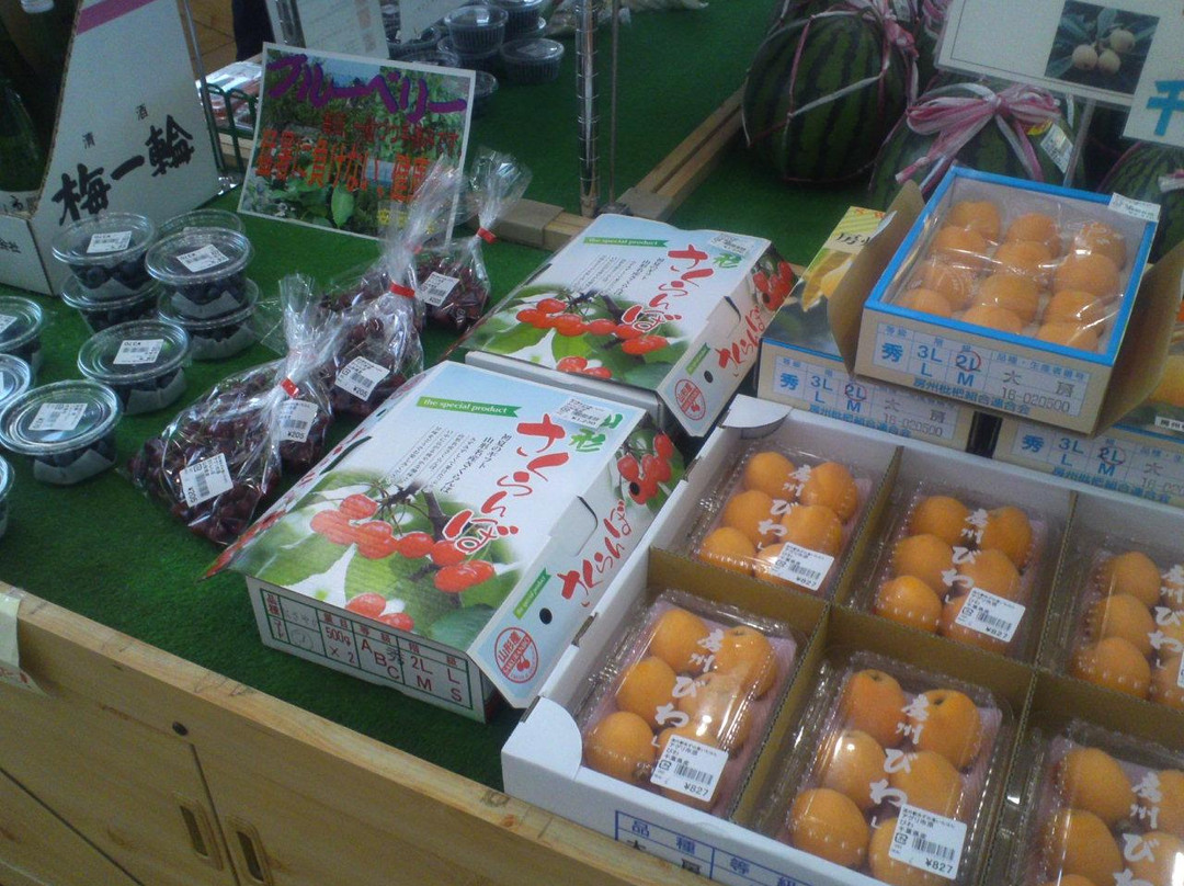 Michi no Eki Azunosato Ichihara-市原市必去景点