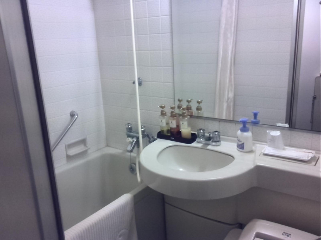 Ibaraki Central Hotel主图