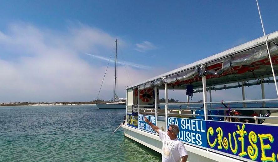 Dolphin Tales-橙色海湾必去景点