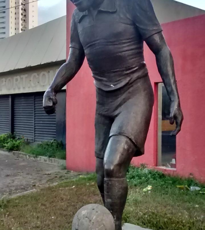 Estadio Adelmar da Costa Carvalho-累西腓必去景点