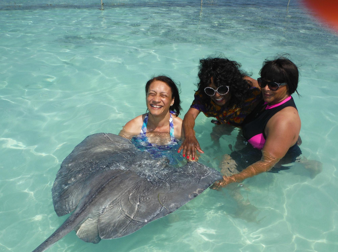 Stingray City Bahamas-Great Harbour Cay必去景点