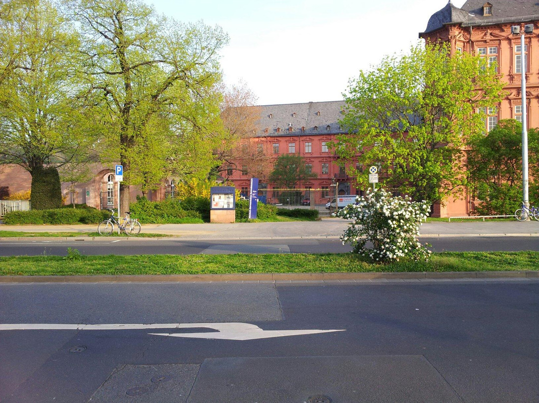 Römisch-Germanisches Zentralmuseum-美因茨必去景点