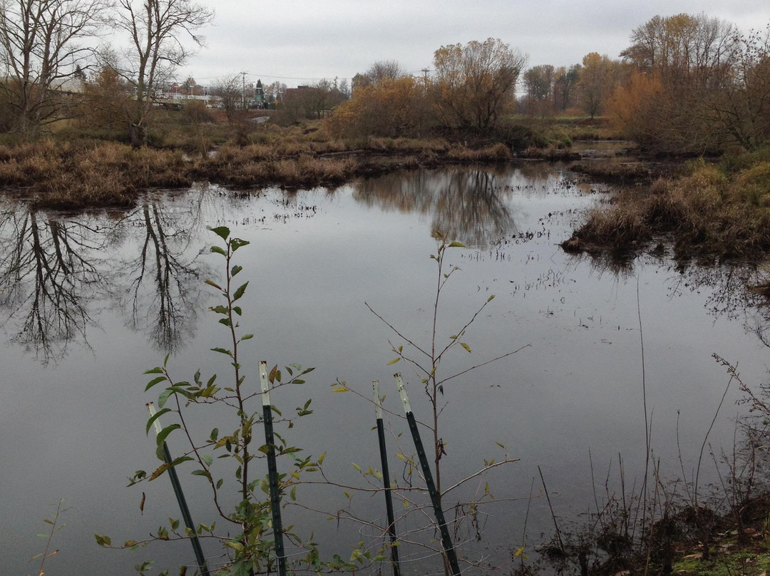 Delta Ponds City Park-尤金必去景点
