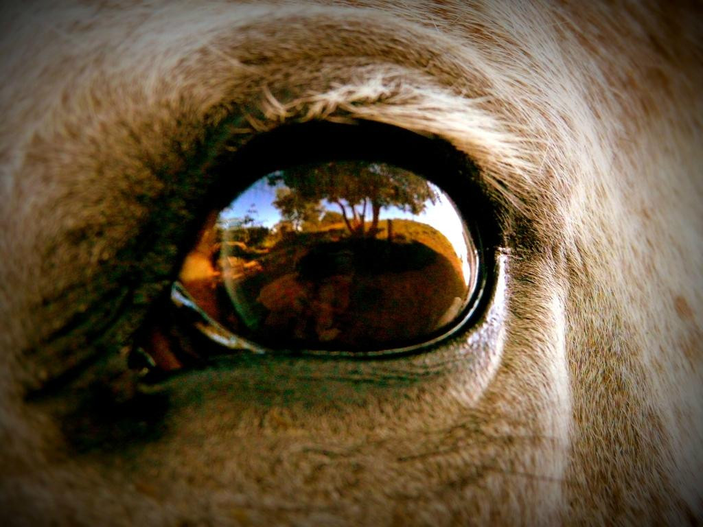 Hills and Trails-Murci必去景点