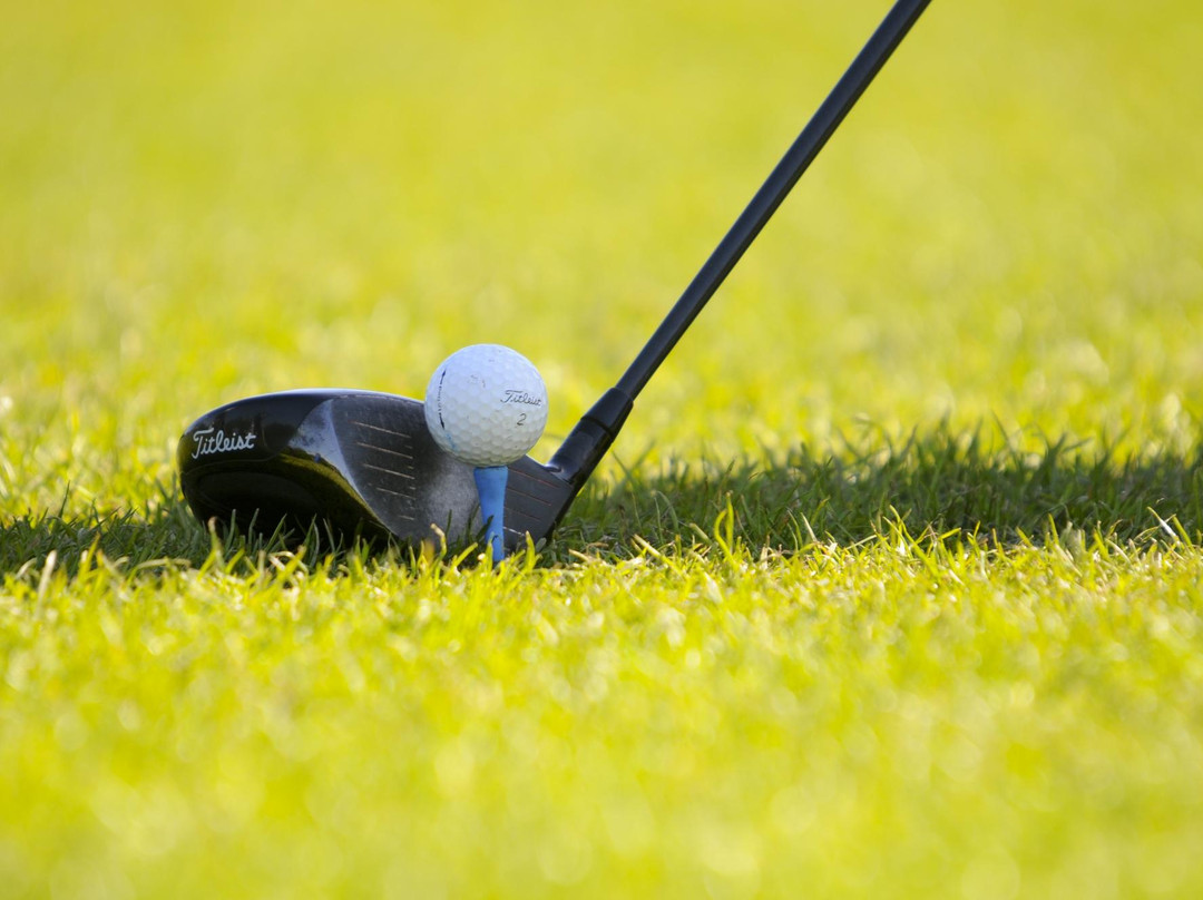 Middlesbrough Municipal Golf Centre景点图片