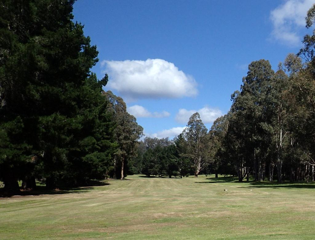 Tarraleah Golf Club景点图片