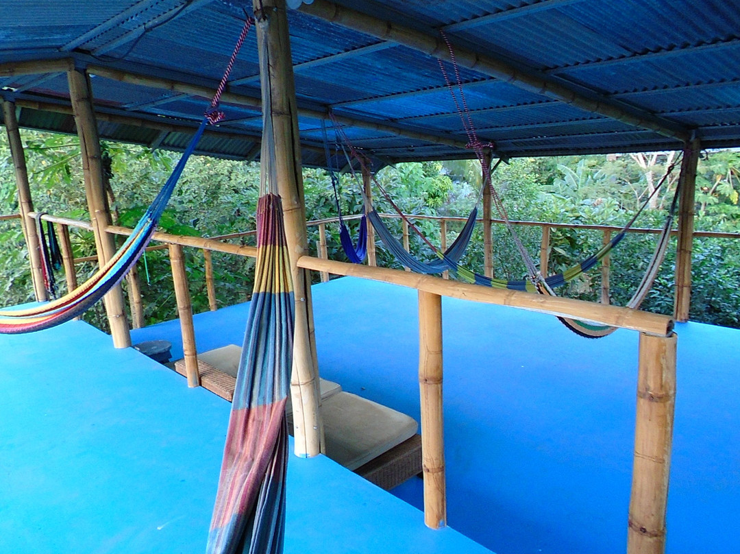 Casa Surf