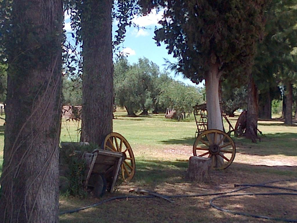 Olium-Villa Las Rosas必去景点