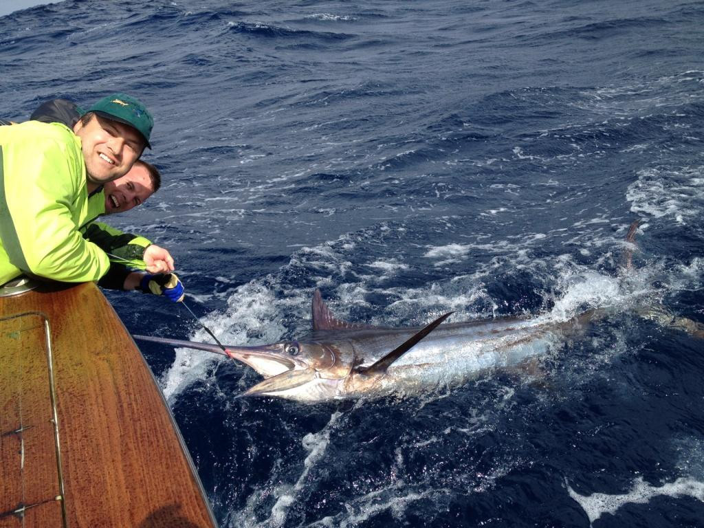 Swordfish Sportfishing景点图片