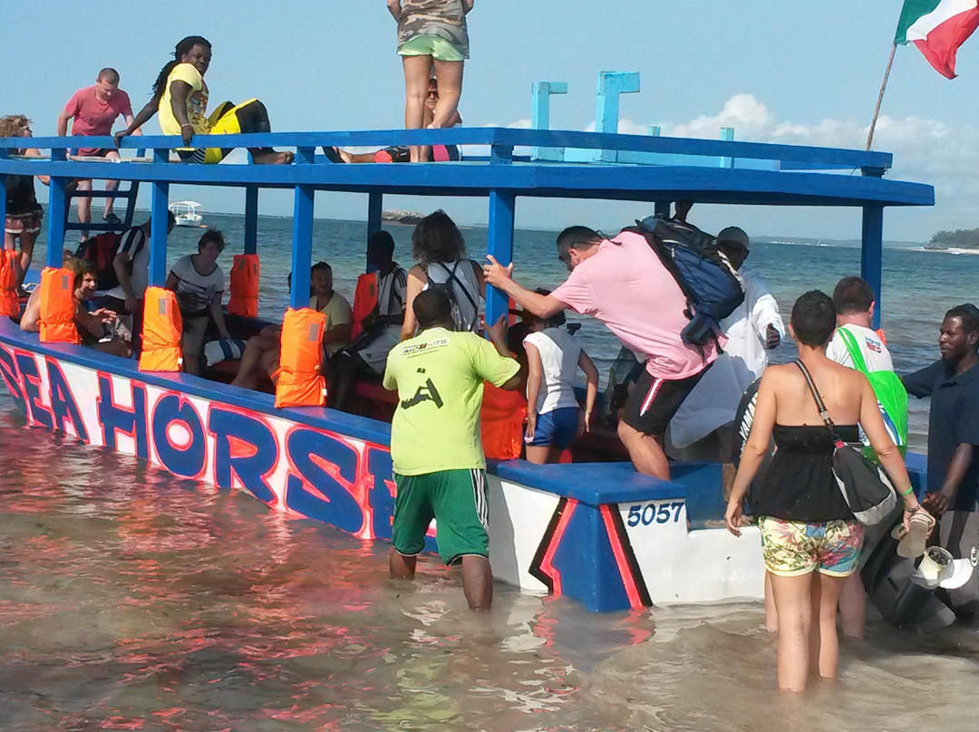 Watamu National Marine Park-瓦塔木必去景点