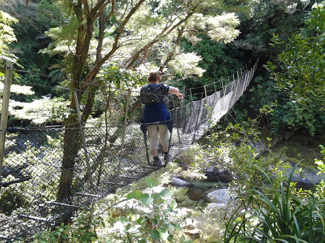 Wainui Falls Track-Abel Tasman National Park必去景点
