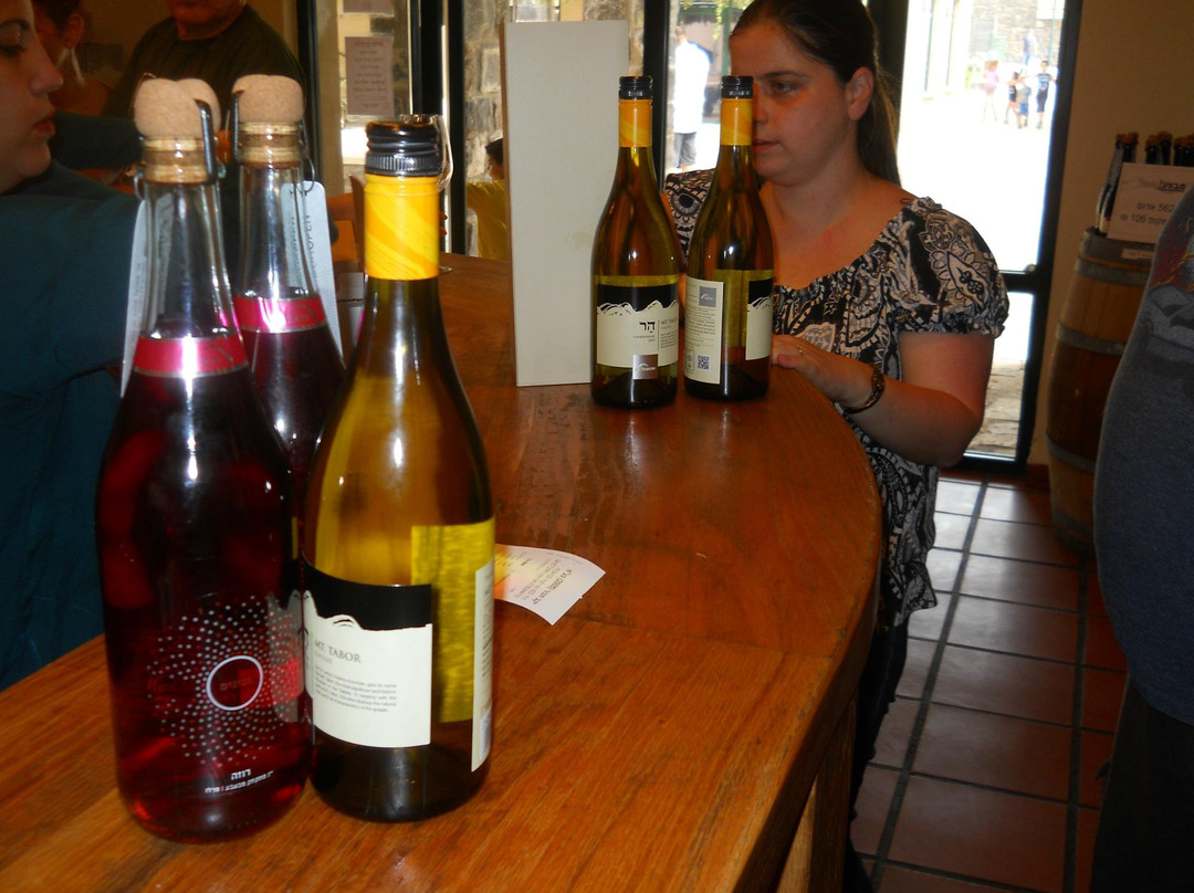Tabor Winery-Kfar Tavor必去景点