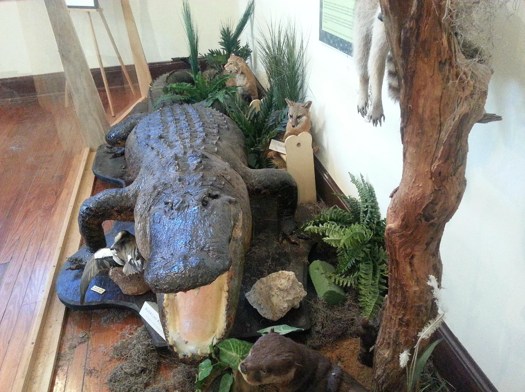 Old Davie School Historical Museum景点图片
