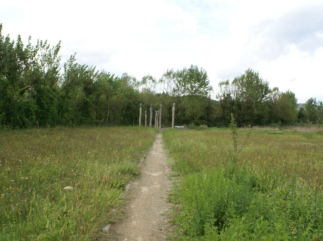 Campo da Ataca-吉马良斯必去景点
