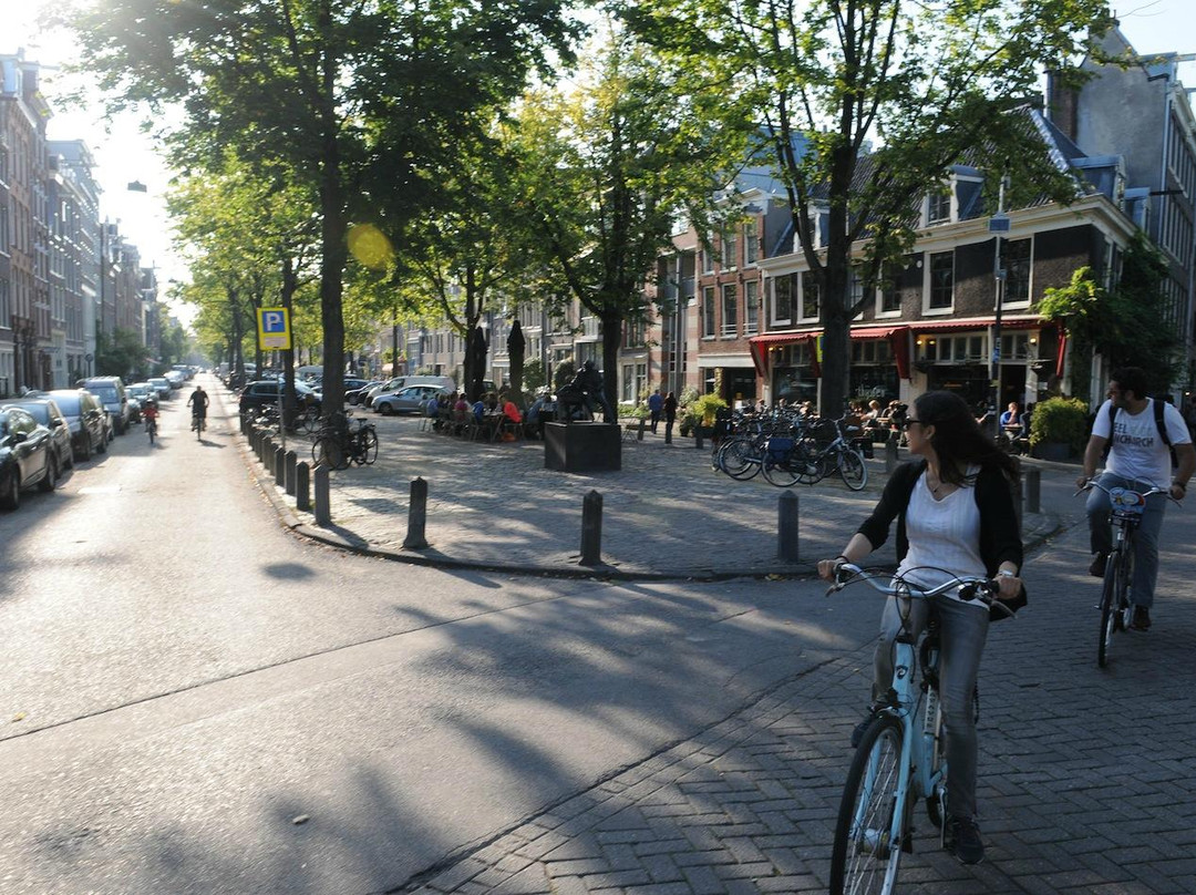 Toms Travel Tours-阿姆斯特丹必去景点