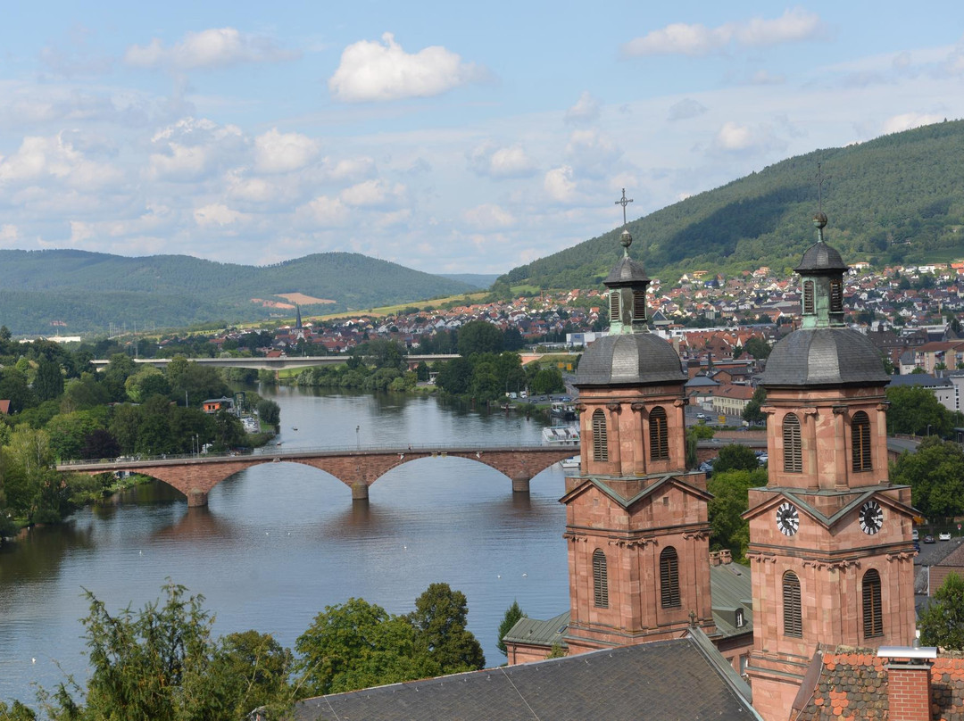 Miltenberg Castle Museum景点图片