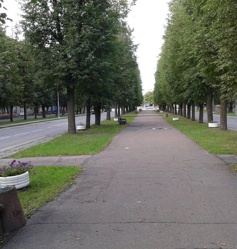 Pushkin Street-纳尔瓦必去景点