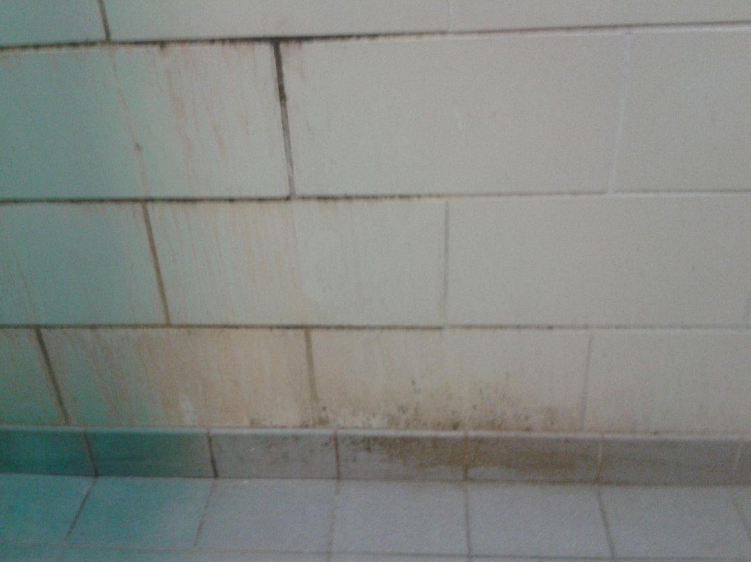 Myles Standish State Forest-普利茅斯必去景点