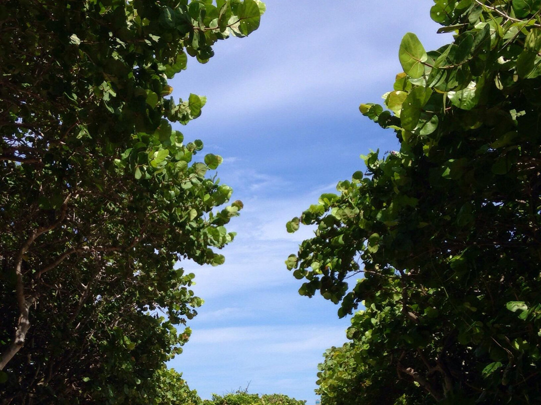 Ocean Reef Park-Riviera Beach必去景点