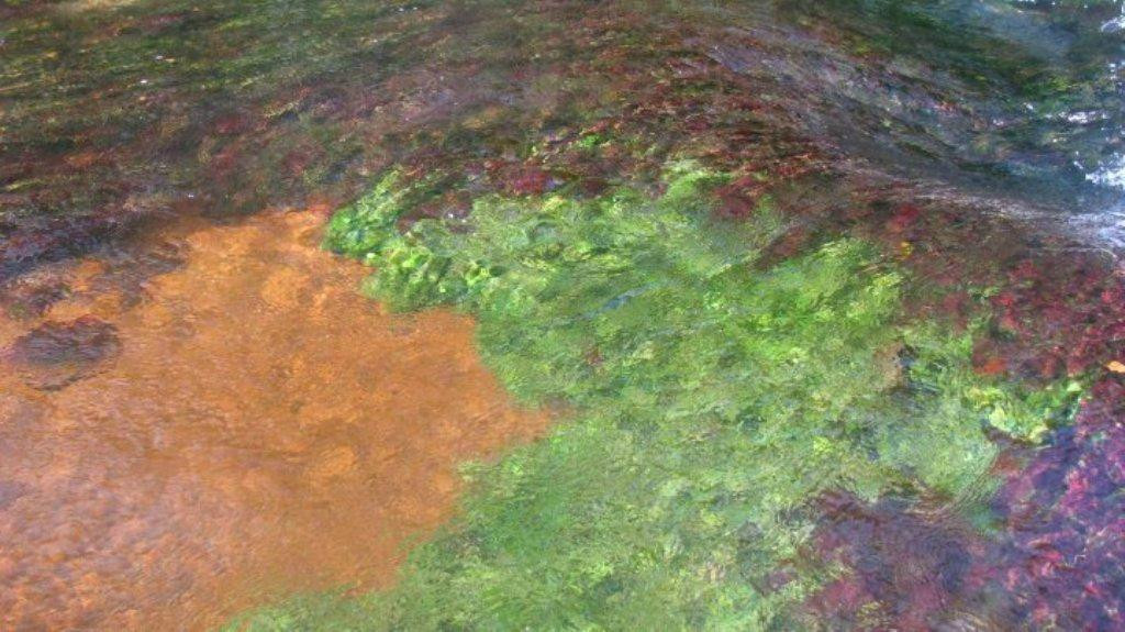 Balneario La Mina-巴耶杜帕尔必去景点